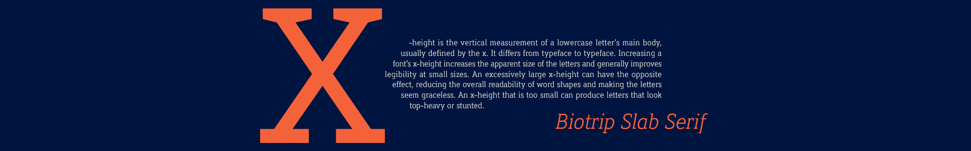Biotrip Slab Serif Font Family - Regular & Italic