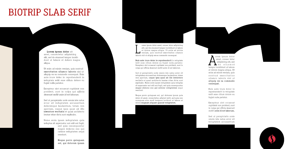 Biotrip-Slab-Serif-editorial-fonts