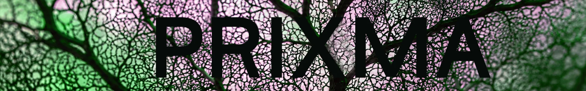 Prixma Sans Serif | Editorial fonts | Regular & Italic