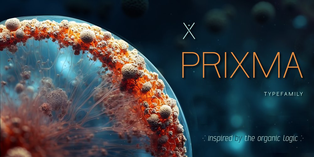Prixma-editorial-typefamily-12-fonts-sans-serif