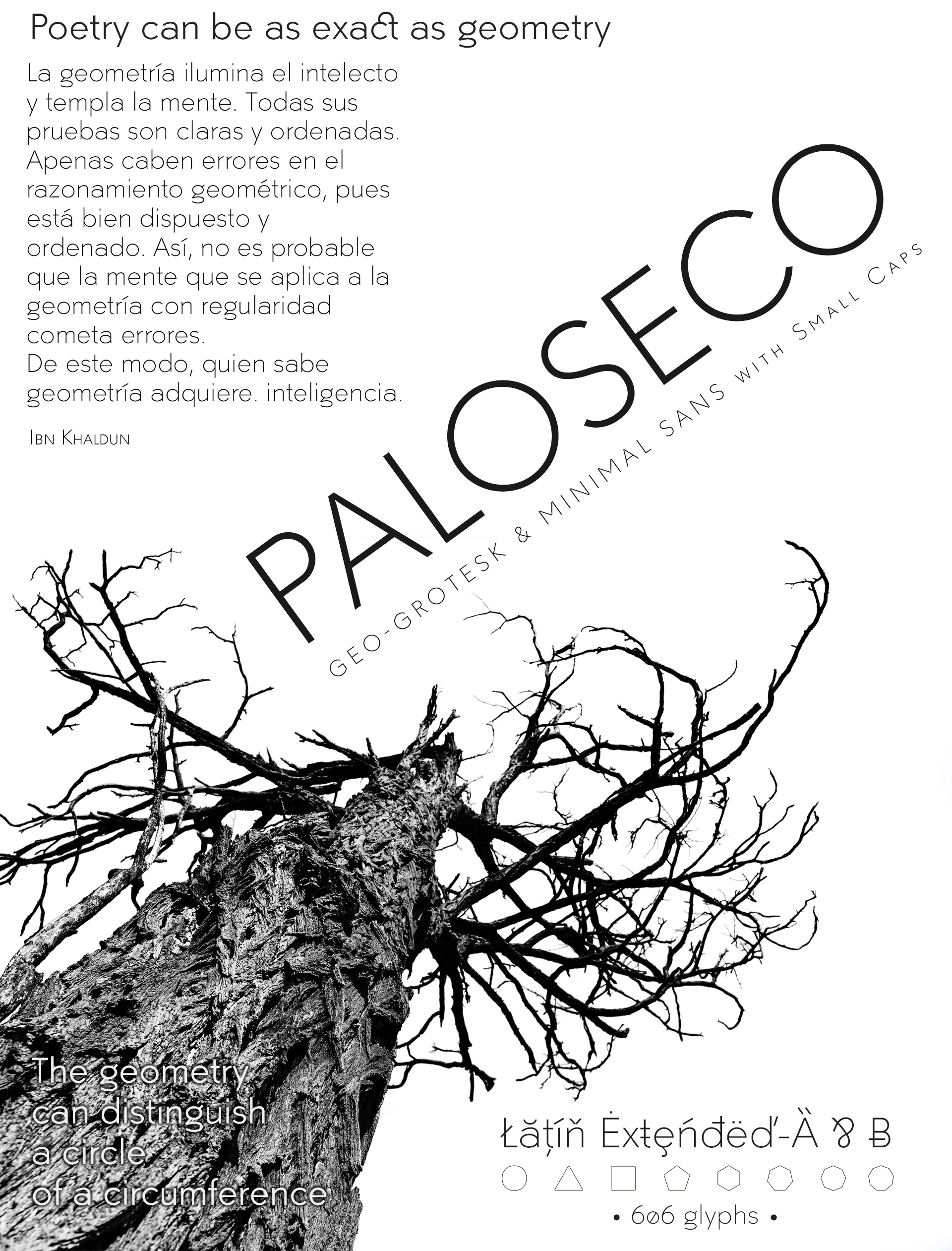 Paloseco Sans Geo-Grotesque Typeface Family